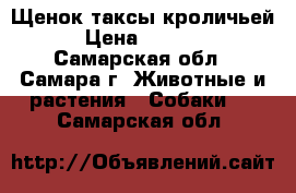 Щенок таксы кроличьей › Цена ­ 5 000 - Самарская обл., Самара г. Животные и растения » Собаки   . Самарская обл.